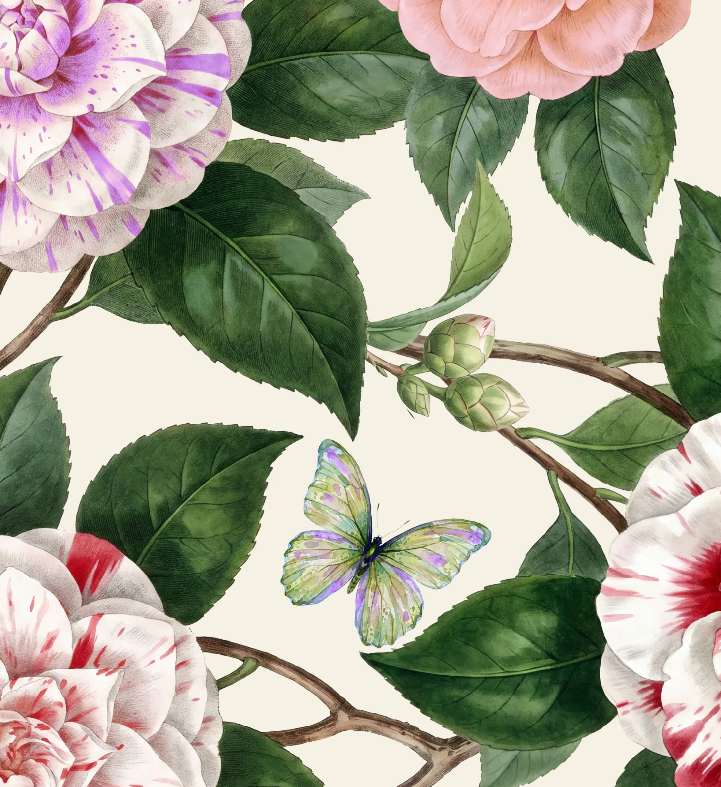 Michela Maranzana artwork 5